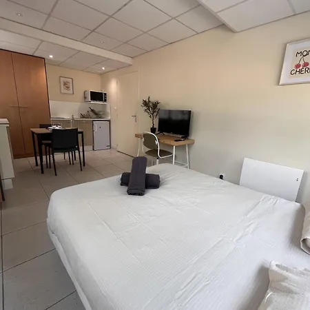 Cosy 2 Pers Pres Fac Et Centre Apartment *